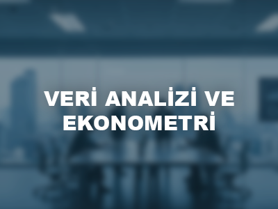VERİ ANALİZİ VE EKONOMETRİ 